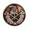 Medalie turnata cu acoperire 19 - Medalii