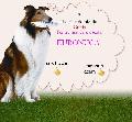 Mancare caini prahova