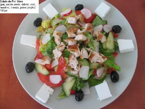 Salata de Pui
