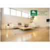 Parchet dublustratificat Stejar European White - Parchet Str