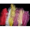Pene de strut decorative culoare rosie - pene de strut decor