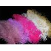 Pene de strut decorative de culoare alba - pene de strut dec