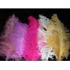 Pene de strut pentru decor nunta - pene de strut decorative