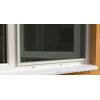 Plase insecte rulou