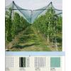 Plase pentru protectie antigrindina - Plase protectie