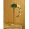 Platou sticla pe picior inalt pentru decor nunta - Platou St