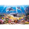  Puzzle Castorland 500 Delfini sub apa  - Puzzleball