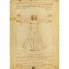  Puzzle Clementoni 1000 Da Vinci Vitruvian Man  - Puzzleball