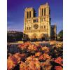  Puzzle Clementoni 500 Notre Dame  - Puzzleball