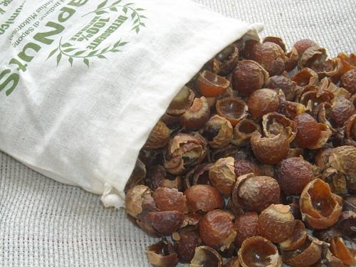 Nuci de sapun, detergentul natural care creste în copaci, 1