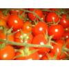 Rosii cherry Spania