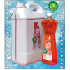 Sampon auto spuma activa - Degresant