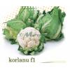 Seminte de conopida Korlanu F1