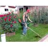 Servicii intretinere gradini - Intretinere Gradini