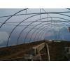 Solarii profesionale Tunel - Solarii Profesionale