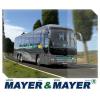 Transport persoane Massa - curse regulate Romania-Italia - T