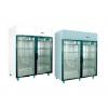 Vitrina verticala congelatoare dubla