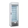 Vitrina verticala negativa - Vitrine Frigorifice