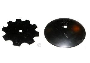 DISCURI GRAPE