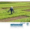 Webdesign firme agrochimizare samanta - Web Design