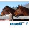 Webdesign herghelii de cai - Web Design
