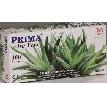 Manusi Examinare Nepudrate ALOE VERA 100 buc