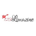 123 LIMUZINE RO