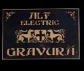 ALF ELECTRIC LTD SRL