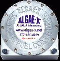 ALGAE X SERVICE SRL