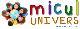 AMERIS ONLINE SRL