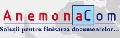 ANEMONA COM SRL