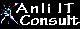 ANLI IT CONSULT SRL