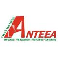 ANTEEA INTERNATIONAL SRL