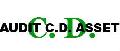 AUDIT CD ASSET