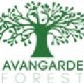 AVANGARDE GREEN CONSTRUCT SRL
