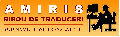BIROUL DE TRADUCERI AMIRIS