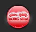 BORG SERV SRL