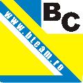 SC B-TEAM CONSULT AND SERVICES SRL