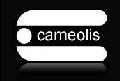 CAMEOLIS SRL