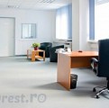 COMPANIA DE PRESTARI SERVICII BUCPREST-OVIMAR SRL