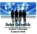 DEBIT COLECTSIB