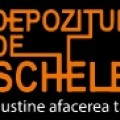 DEPOZITUL DE SCHELE SRL