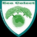 ECO COLECT SRL