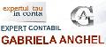 EXPERTCONTABIL ANGHEL GABRIELA
