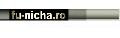 FU-NICHA RO SRL
