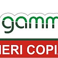 GAMA INK SERVICE SRL
