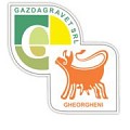 GAZDAGRAVET SRL