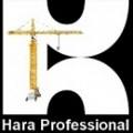 HARA PROFESSIONAL SRL