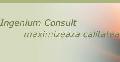SC INGENIUM CONSULT SRL