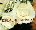 IORDACHE I MIHAI I.I.